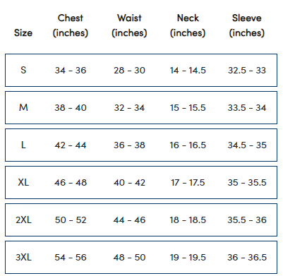 GTR Tooned T-Shirt "Double Platinum"